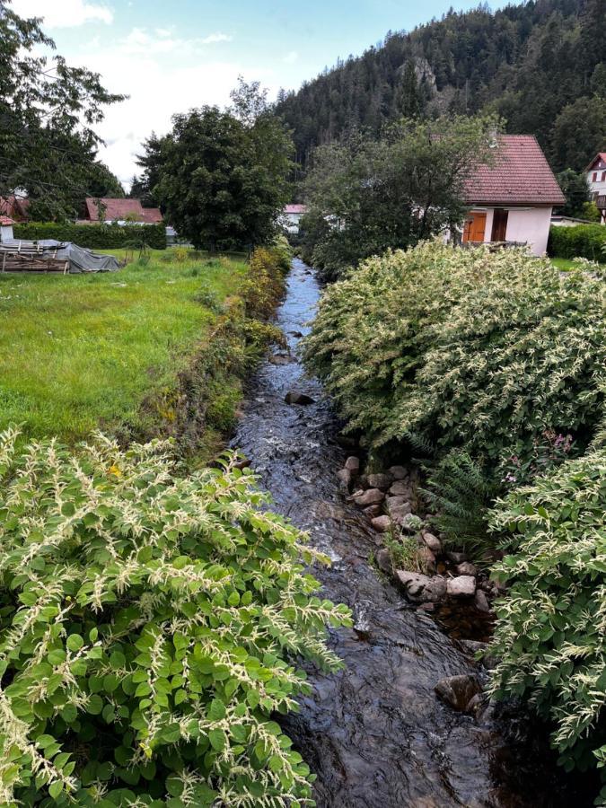 Les Ateliers Villa Gérardmer Dış mekan fotoğraf